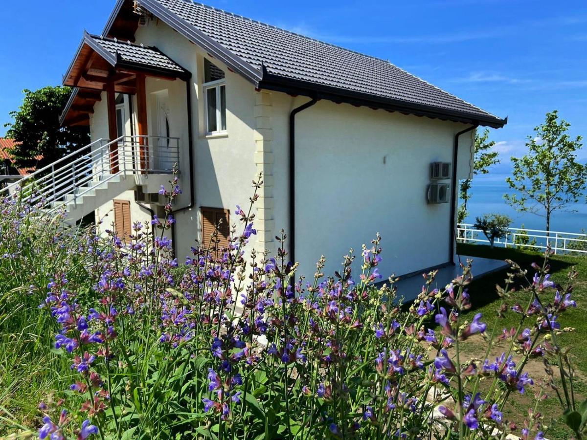 Xhuli Guesthouse Shkoder Exterior photo