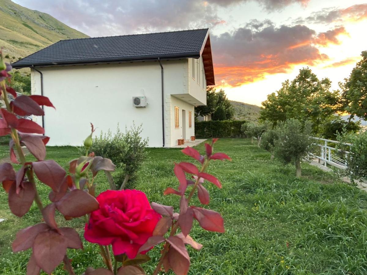 Xhuli Guesthouse Shkoder Exterior photo