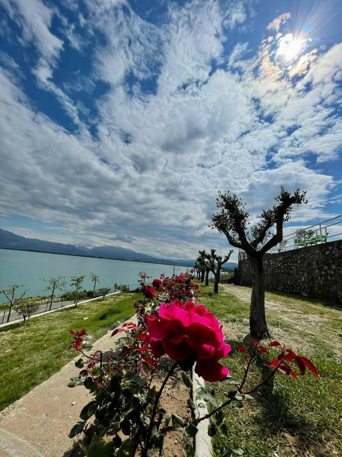 Xhuli Guesthouse Shkoder Exterior photo